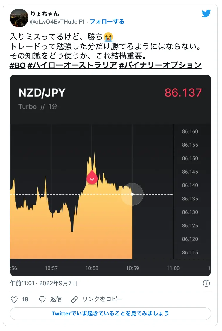 HIGHLOW.com(ハイローオーストラリア)の評判・口コミ3